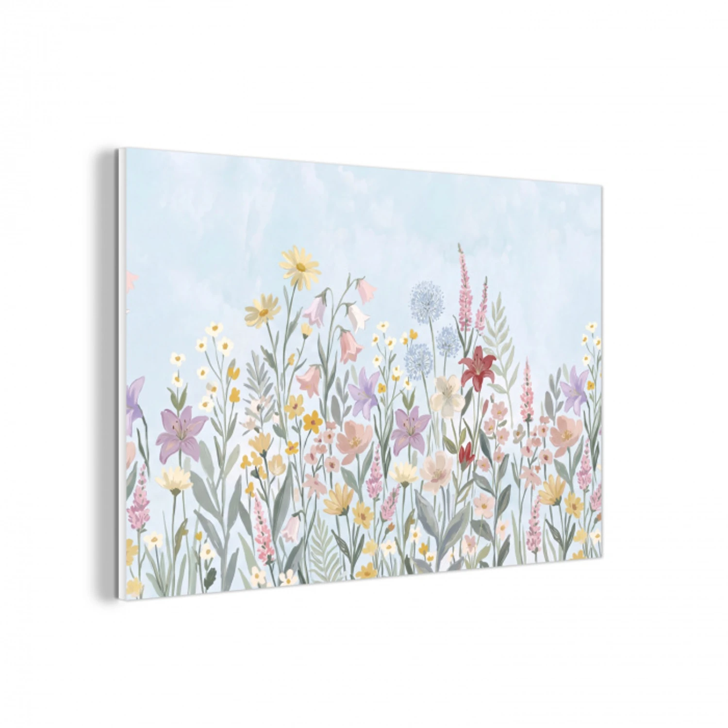 Weidebloemen - Illustratie - Kleurrijk forex 5mm xxl -3d
