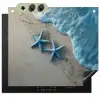 Zeesterren - Zand - Zee - Blauw Inductie beschemer met haakjes middel -3d