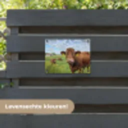 Koe - Weide - Bloemen tuinposter los doek klein -sfeer3