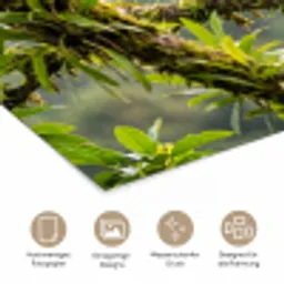 Toekan - Jungle - Natuur - Kleurrijk poster papier klein -tcloseup_DE
