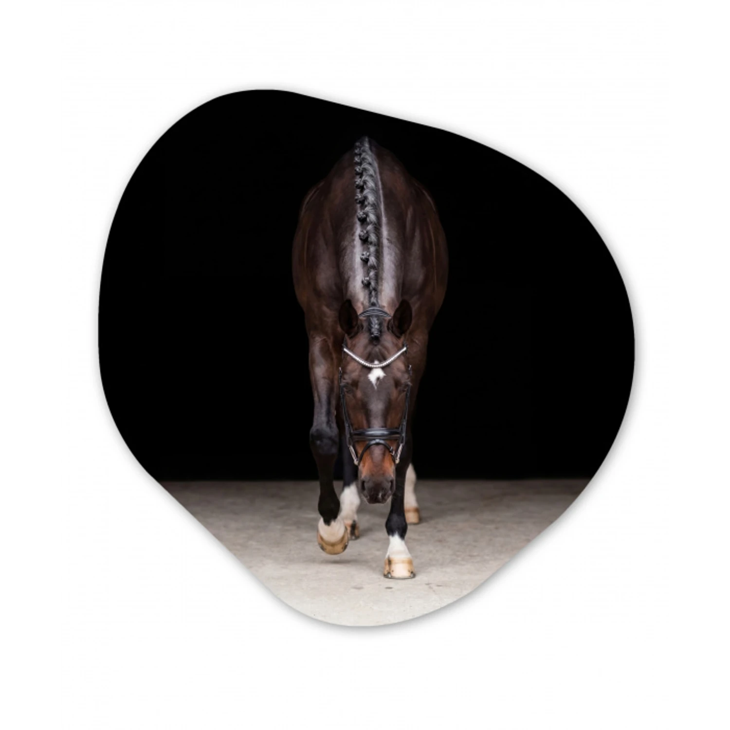 Paard - Modern - Portret Wandcirkel Organisch Forex 3mm klein -3d
