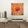 Dahlia - Bloem - Oranje plexiglas 5mm klein -sfeer1