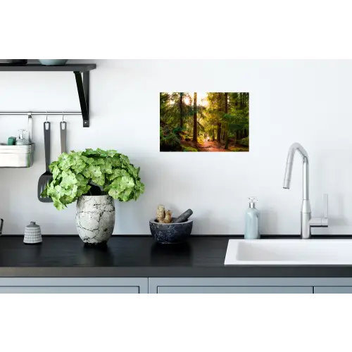 Bos - Pad - Boom Muursticker klein -keuken