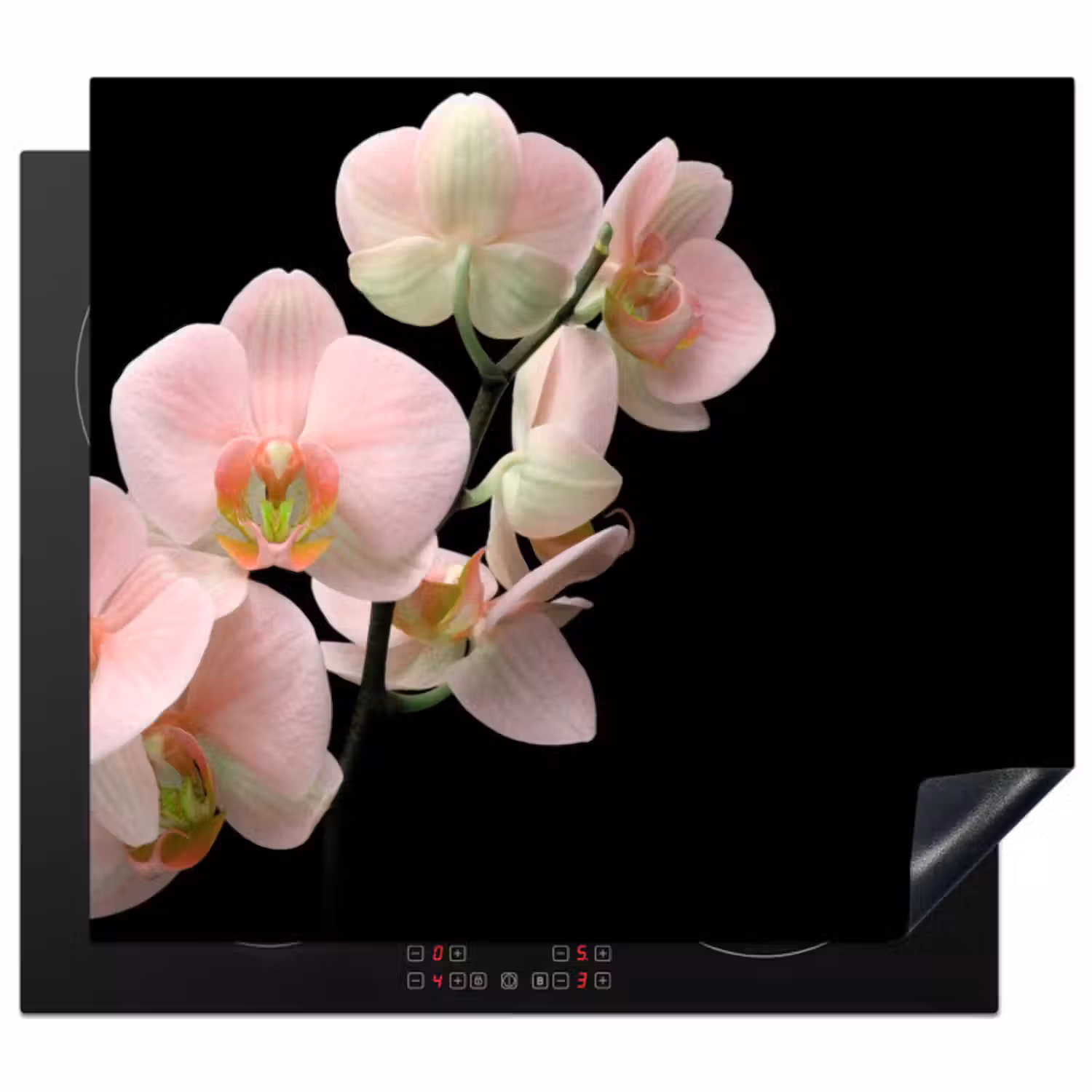 Inductie beschermer - Orchidee - Bloemen - Roze - Stilleven - Flora