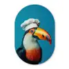 Toekan - Papegaai - Vogel - Koksmuts Wandcirkel Ovaal Glas middel -3d