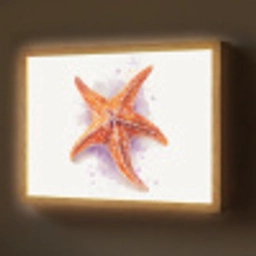 Zeester - Oranje - Paars Light Box met batterij (Wandlamp) middel -z3d_website