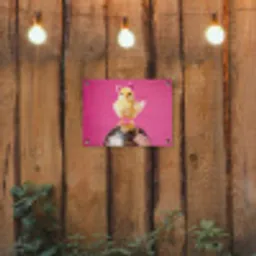 Discobal - Kuiken - Strik tuinposter los doek klein -sfeer1