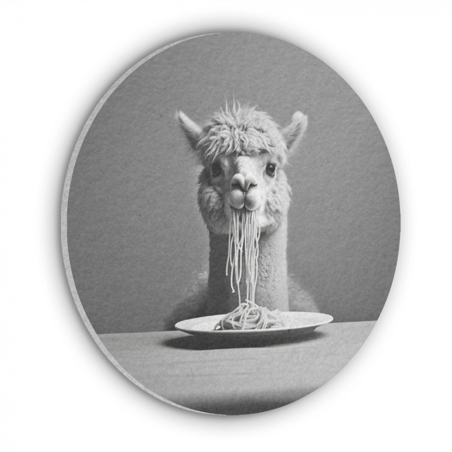 Alpaca - Pasta - Zwart - Wit - Grappig - Dieren Akoestische PET Vilt - Rond klein -3d