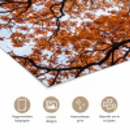 Boom - Bladerdak - Herfst - Oranje - Sfeervol poster papier klein -closeup_NL