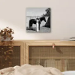 Vrouw - Paard - Artistiek aluminium wit klein -sfeer3