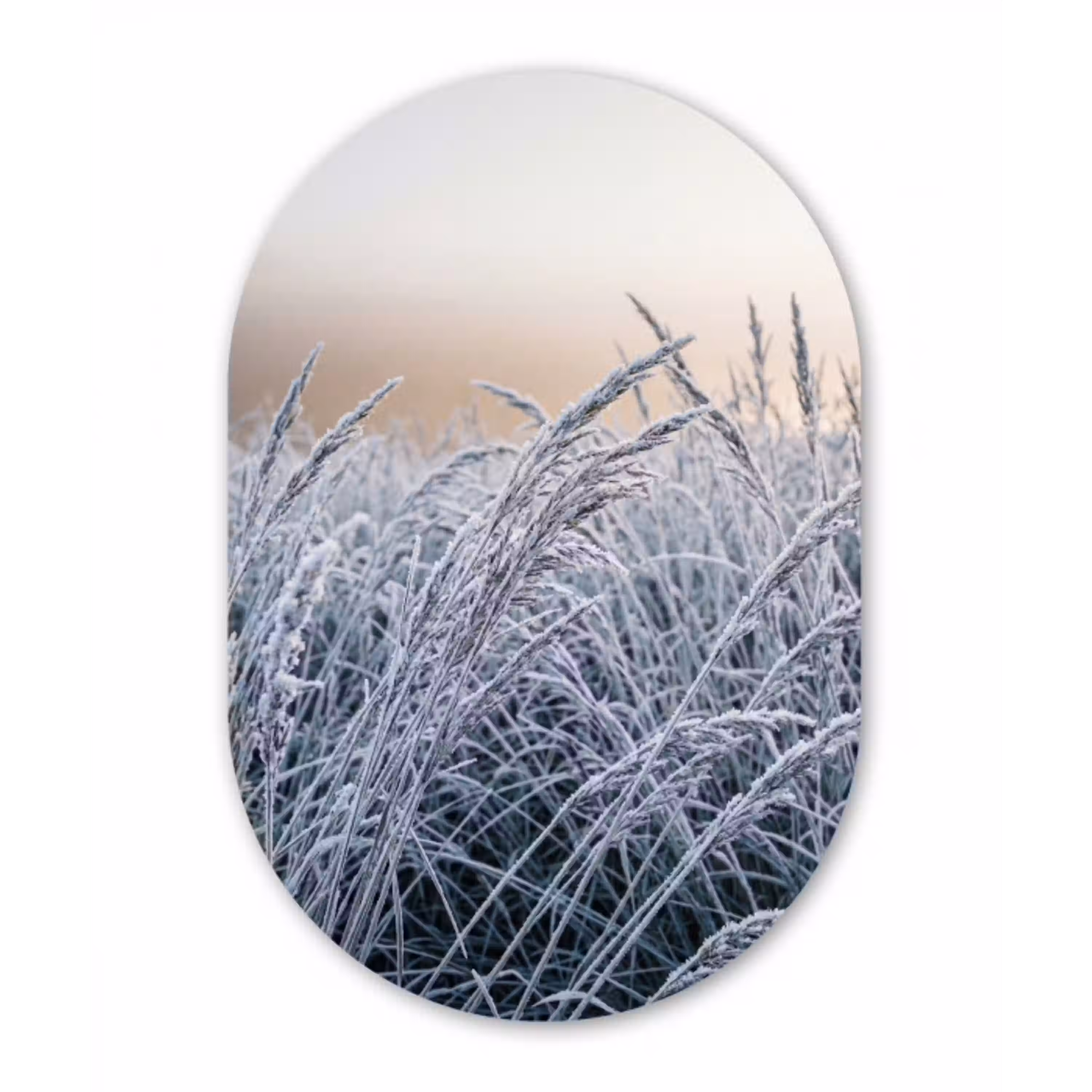 Rijp - Gras - Kristallen - Winter - Minimalistisch Wandcirkel Ovaal Aluminium middel -3d