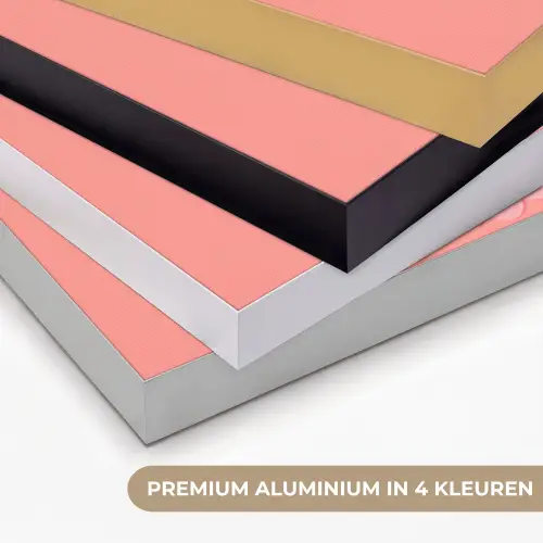Illustratie - Bloemen - Rand - Roze Textielframe zwart klein -USP_kleurenNL