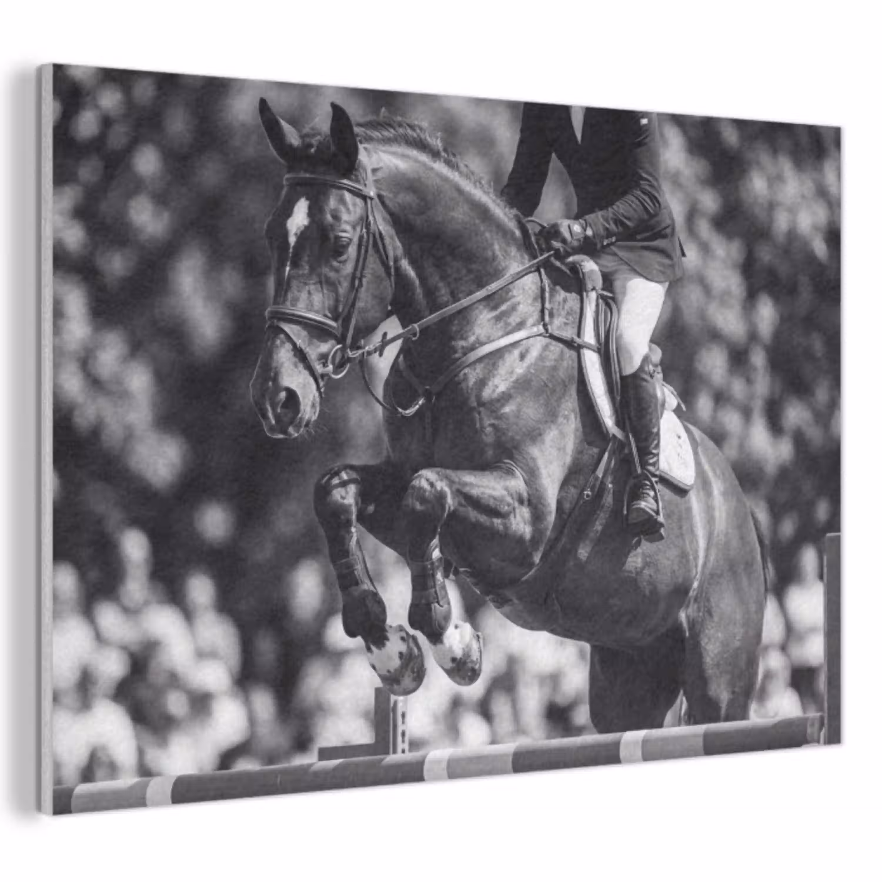 Springen - Paard - Zwart - Wit PET vilt klein -3d