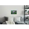 Aster - Paars - Bloem - Blaadjes Muursticker klein -slaapkamer