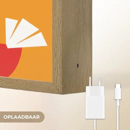 Kippen - Oranje - Vlakken Light Box met batterij (Wandlamp) middel -USP_websiteoplaadbaarNL