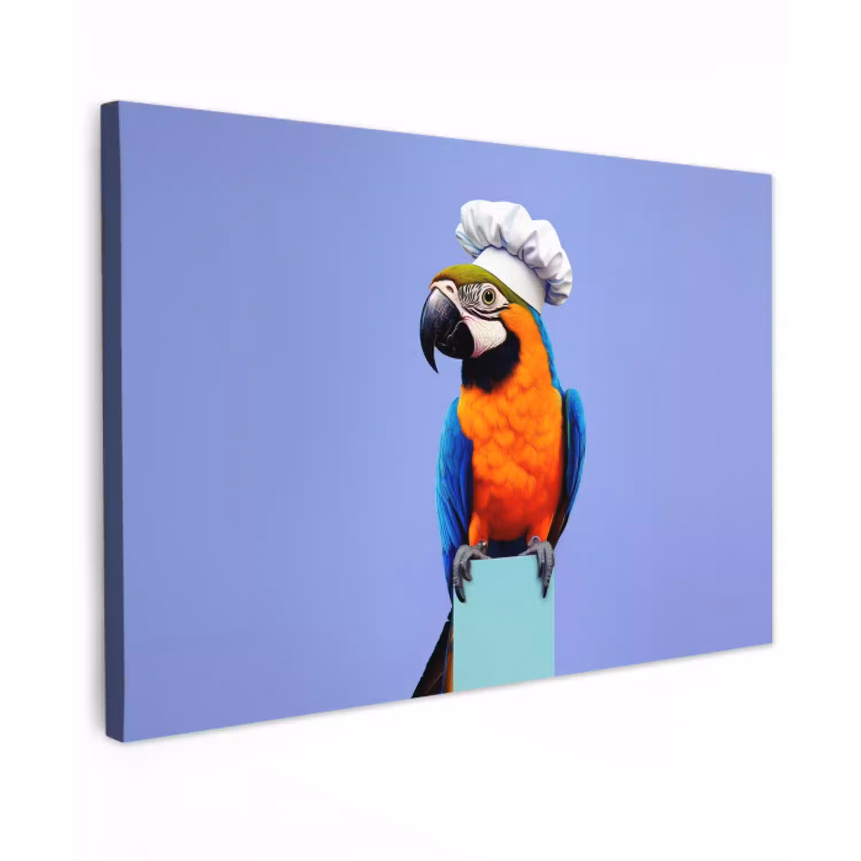 Papegaai - Koksmuts - Vogel - Leuk Tuinposter op houten frame 2 cm dik klein -3d