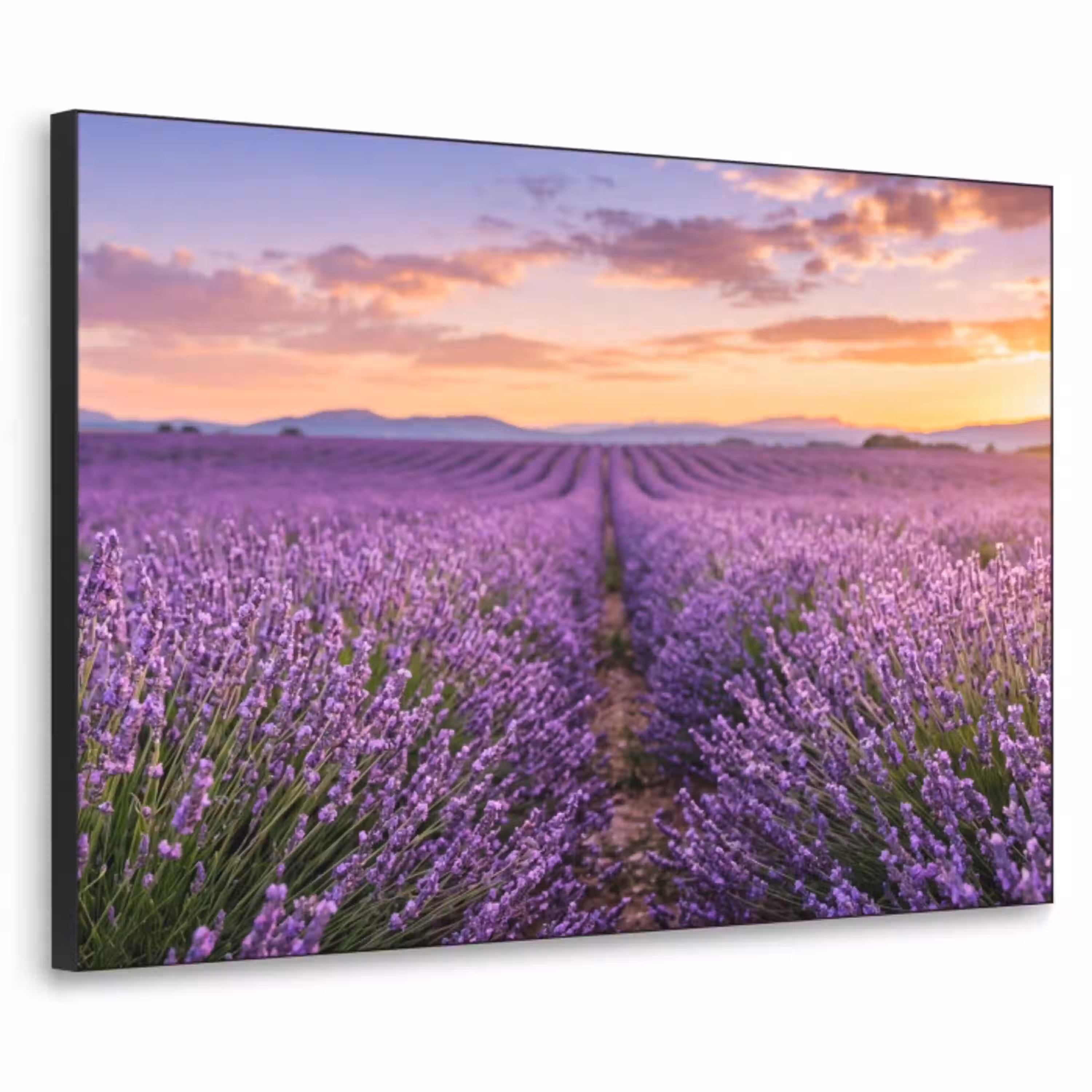 Lavendel - Veld - Natuur - Paars Textielframe zwart klein -3d