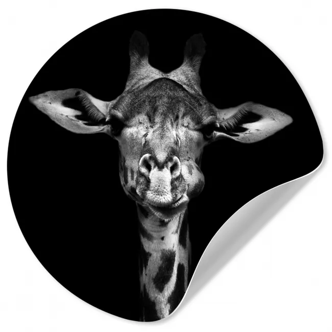 Giraffe - Portret - Dieren - Zwart - Wit Wandcirkel behangsticker klein -3d