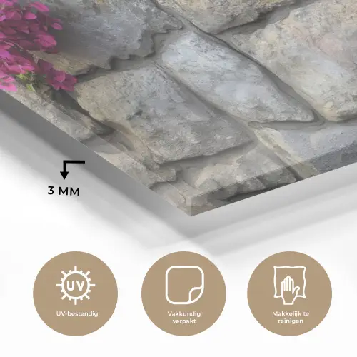Bougainvillea - Stenen Muur - Roze plexiglas 5mm klein -sfeer2