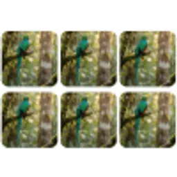 Quetzal - Jungle - Natuur - Groen onderzetter kurk middel -zkaufland3dotto