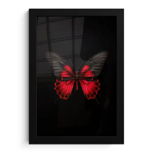 Vlinder - Rood - Contrast fotolijst zwart zonder passe partout klein -3d