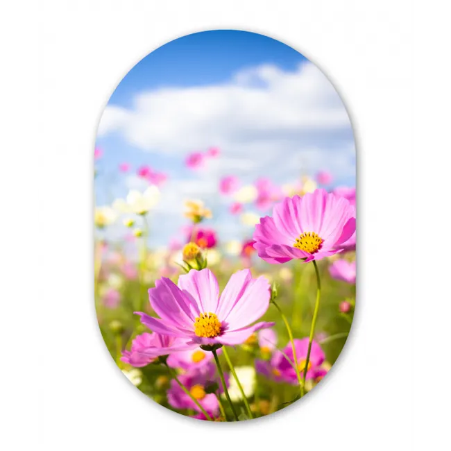 Bloemen - Wei - Paars - Gras - Wit - Wolken - Blauw Wandcirkel Ovaal Forex klein -3d