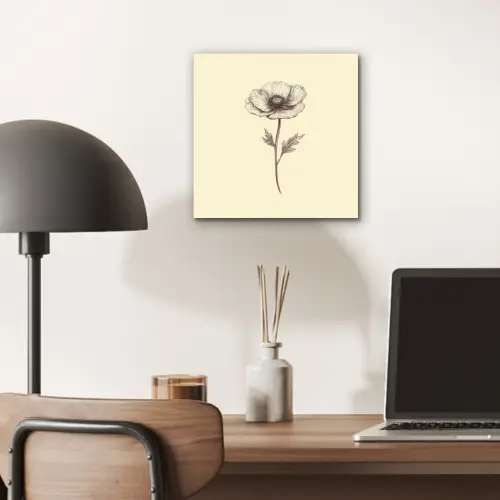 Klaproos - Illustratie - Zwart aluminium wit klein -sfeer5