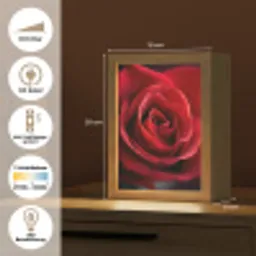 Rood - Roos - Romantisch Light Box met kabel (Tafellamp) klein -USP_DE
