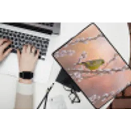 Groenling - Katjes - Lente - Natuur - Zacht laptophoes neopreen klein -bureau