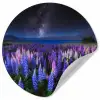 Bloemen - Nacht - Lupine - Sterrenhemel - Paars - Natuur Wandcirkel behangsticker klein -3d