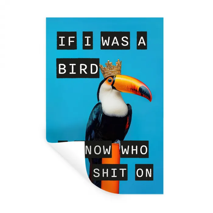Vogel - Toekan - Blauw - Quotes Muursticker klein -3d