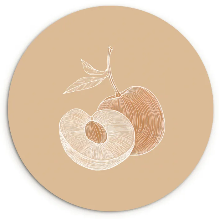 Perzik - Lijntekening - Pit - Beige Wandcirkel plexiglas klein -3d