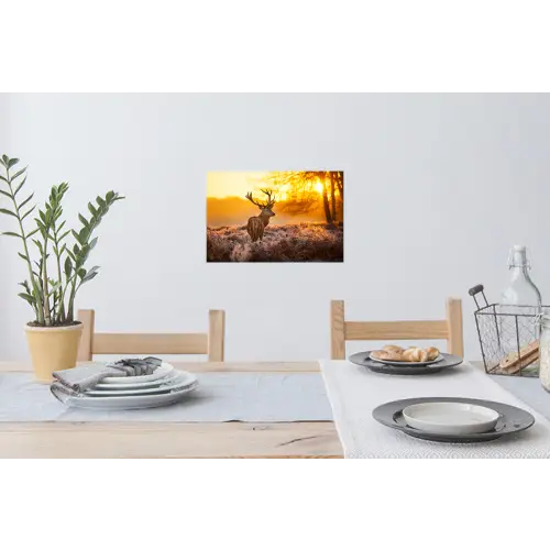 Hert - Dieren - Zonsondergang - Winter - Heide - Natuur Muursticker klein -eettafel