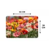 Bloemenveld - Klaprozen - Kleurrijk Placemat vinyl groot -specs