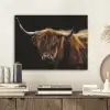 Schotse Hooglander - Horens - Zwart - Dieren - Natuur - Wild - Koe PET vilt klein -sfeer1