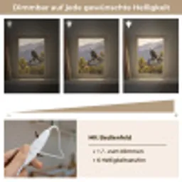 Zeearend - Boom - Bergen - Groen Light Box met kabel (Kinderlampje) klein -USP_dimbaarDE