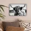 Schotse hooglander - Natuur - Koe - Zwart - Wit canvas 2cm klein -sfeer1