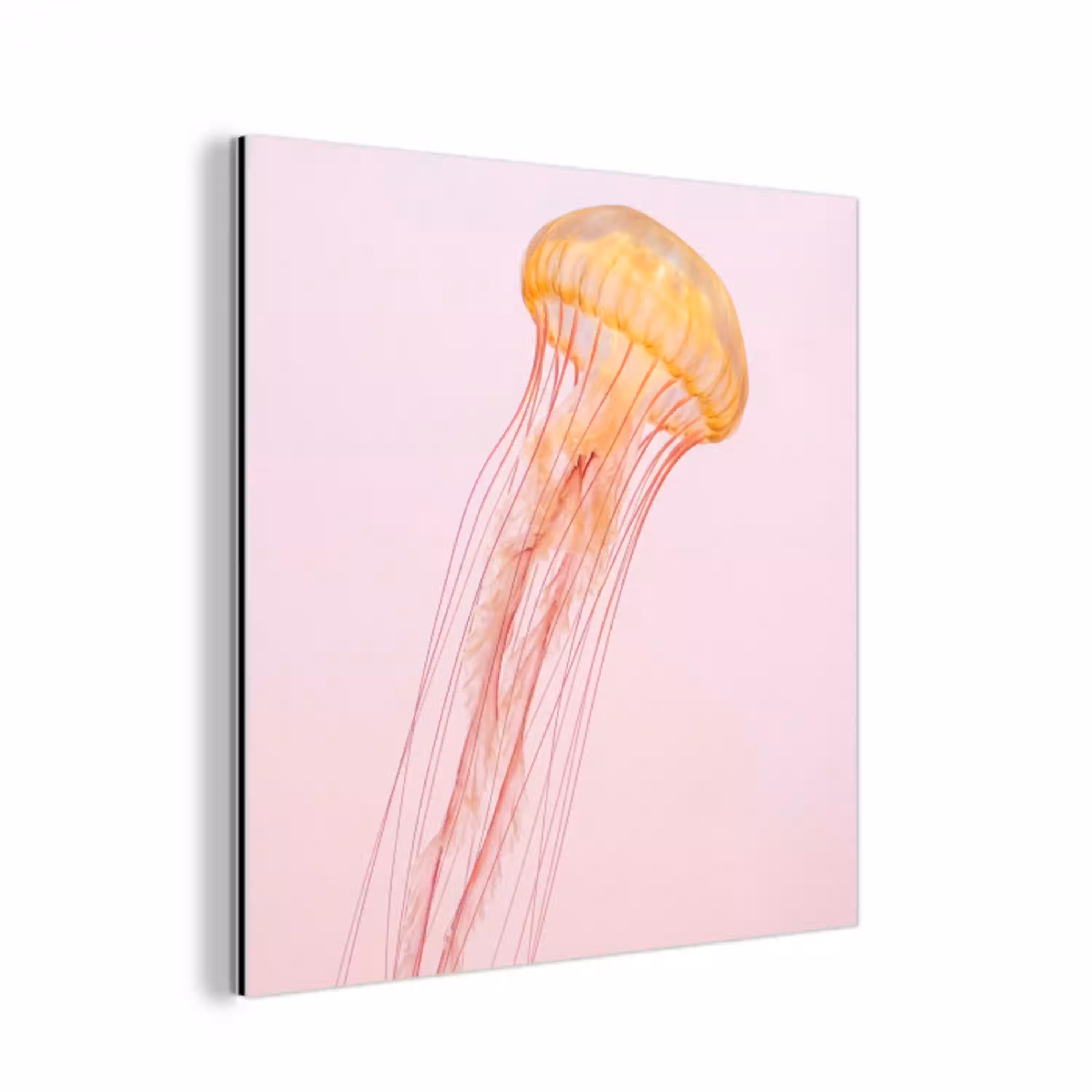 Sierlijk - Kwal - Roze aluminium wit klein -3d