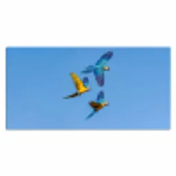 Papagaai - Vliegen - Blauw - Geel Muismat XXL klein -3d_leeg