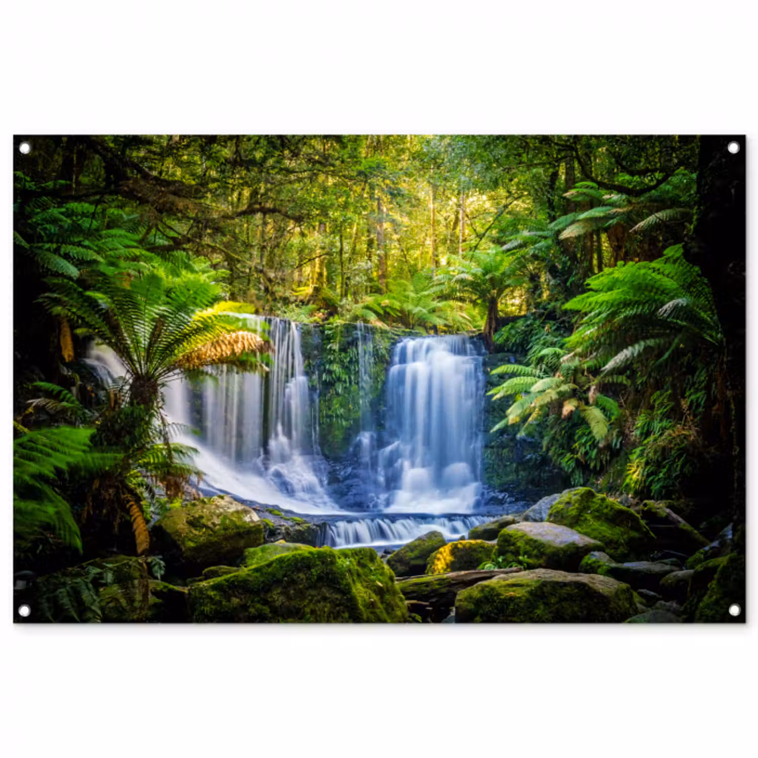 Tuinposter - Jungle - Waterval - Australië - Planten - Natuur