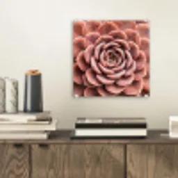 Vetplant - Organisch - Roze plexiglas 5mm klein -sfeer1