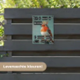 Roodborstje - Vogel - Blauw - Decoratie tuinposter los doek klein -sfeer3