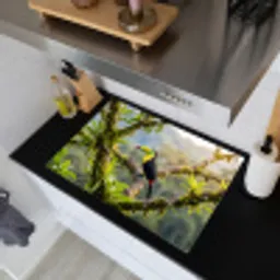 Toekan - Jungle - Natuur - Kleurrijk Inductie beschemer met haakjes klein -sfeer1