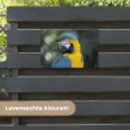 Vogel - Papegaai - Blauw tuinposter los doek klein -sfeer3