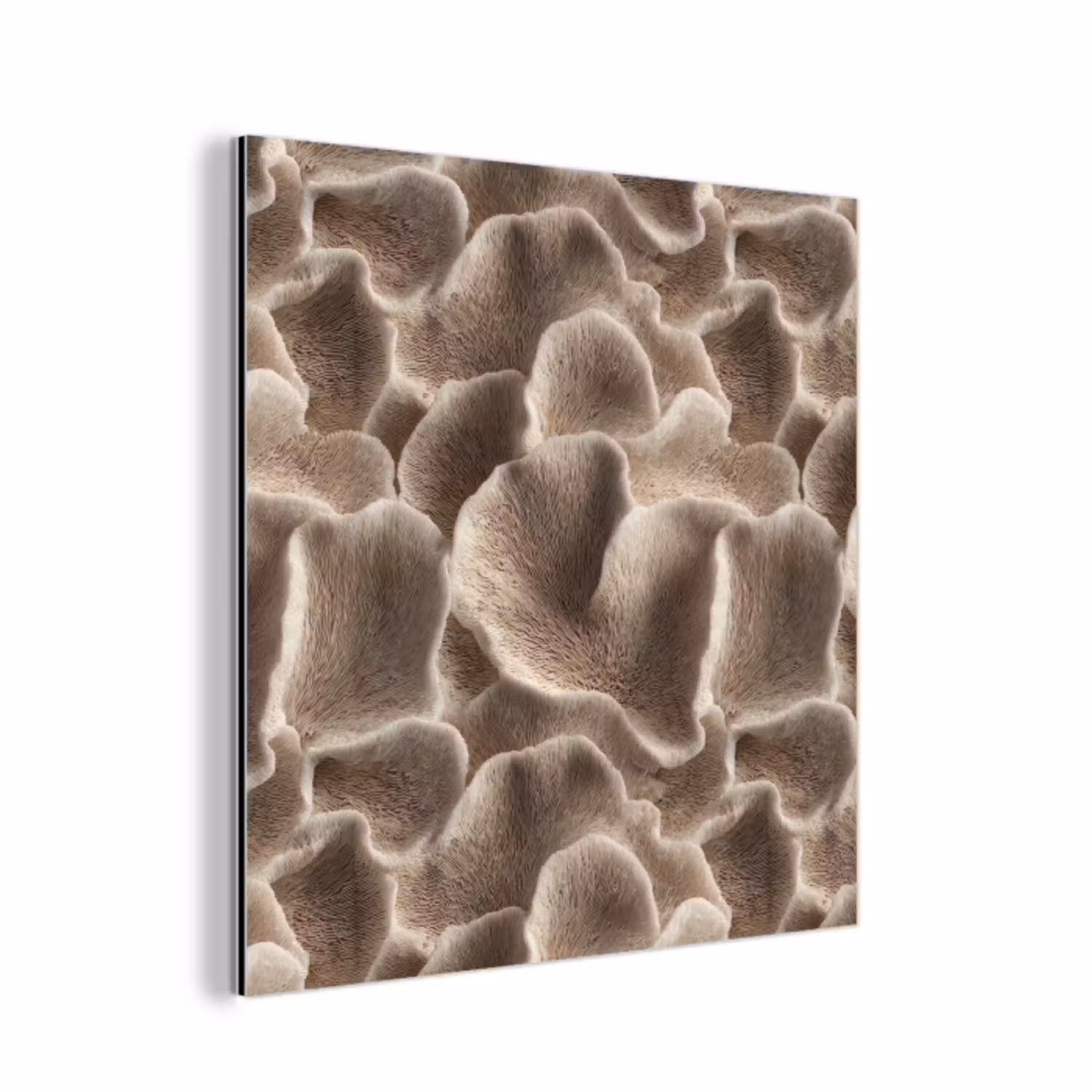Waaiervorm - Beige - Vezel textuur aluminium wit klein 46 -3d