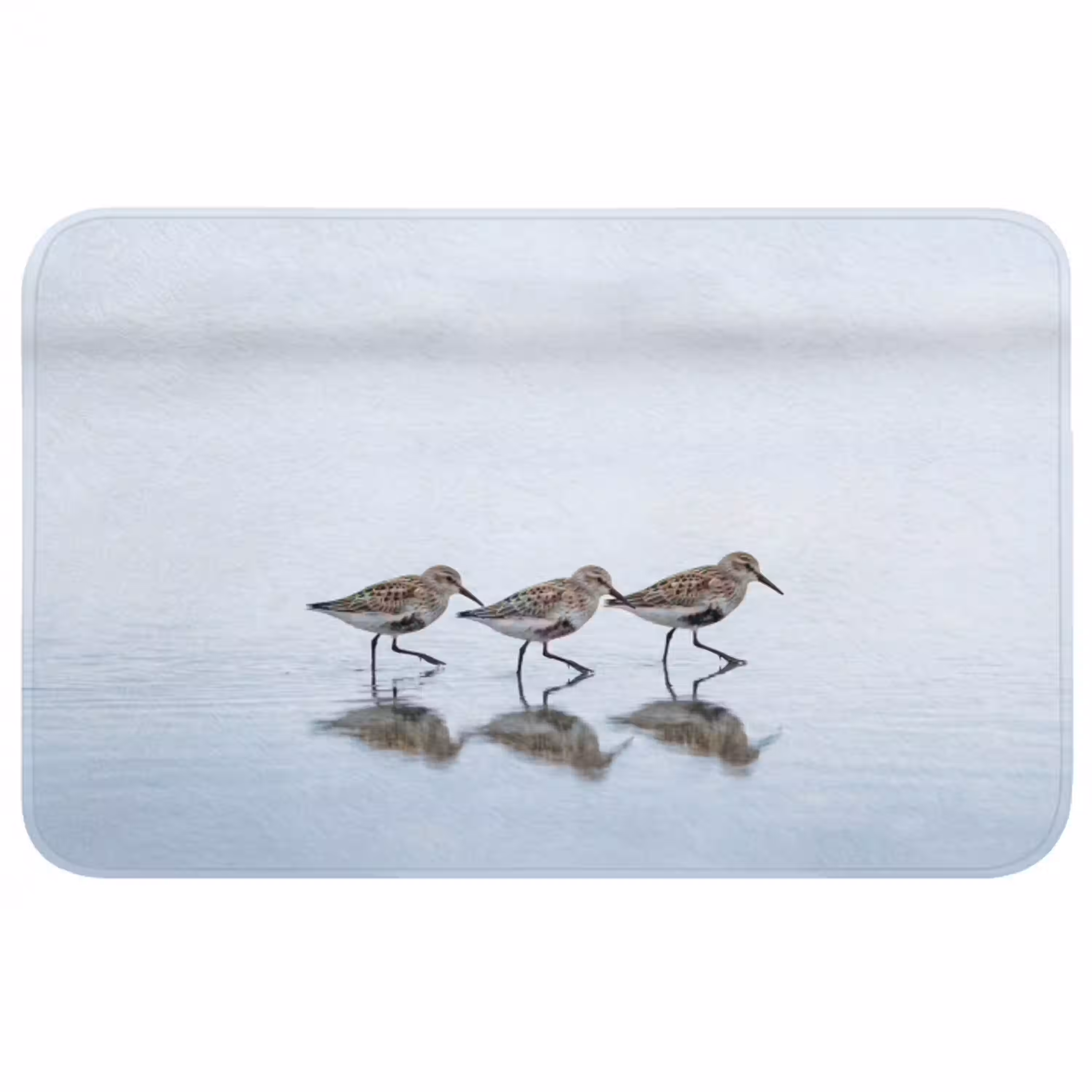 Vogels - Water - Grijs Badmat middel -3d