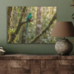 Quetzal - Jungle - Natuur - Groen PET vilt klein -sfeer2