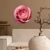 Roze - Roos - Romantisch Wandcirkel kunststof plaat 5mm dik klein -sfeer1