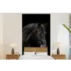 Paard - Dieren - Zwart - Portret fotobehang vinyl groot -bed