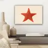 Zeester - Bobbels - Rood canvas 2cm klein -sfeer6